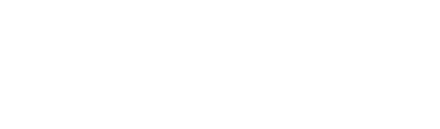 SHINKAI FES